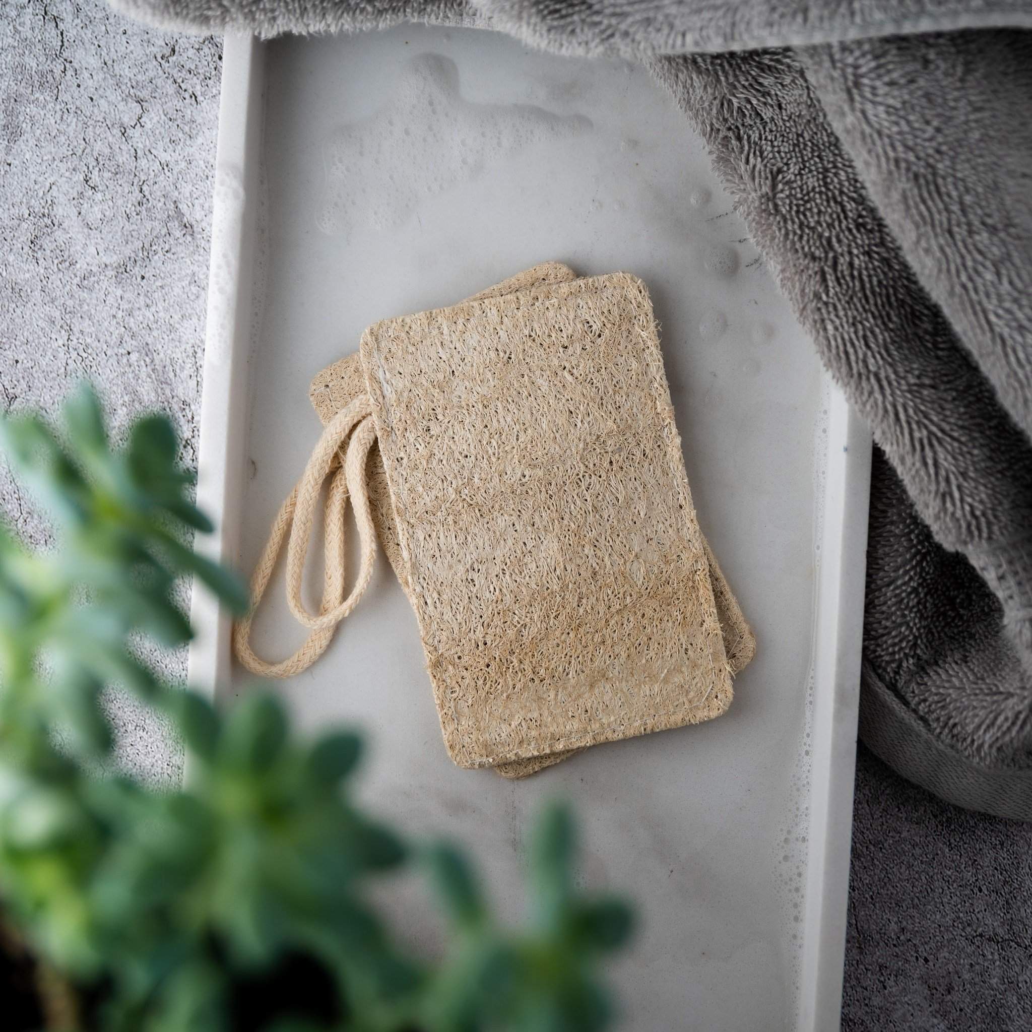 Natural Loofah Pad (2-Pack) - Luna & Thyme