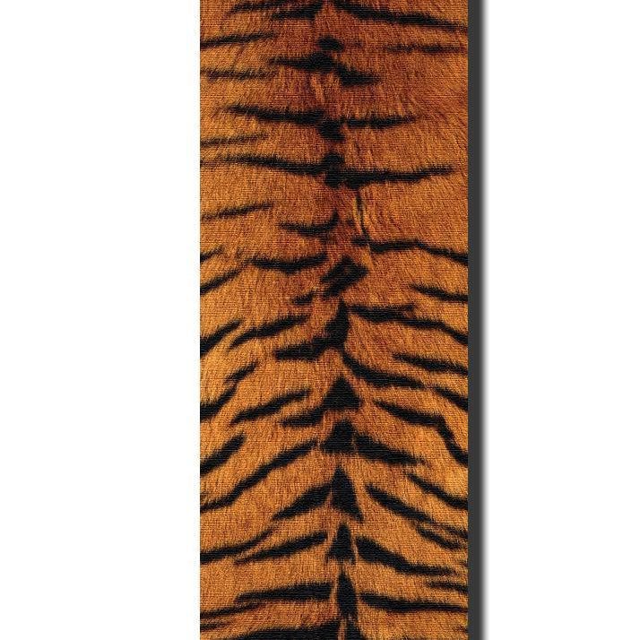 tiger1.jpg